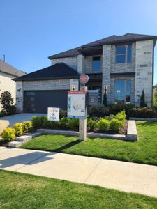 Painted Tree by Trophy Signature Homes in McKinney - image 10