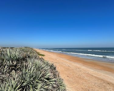 Beachview Cove by SeaGate Homes in Ormond Beach - photo 20 20