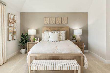 Painted Tree by Bloomfield Homes in McKinney - image 13