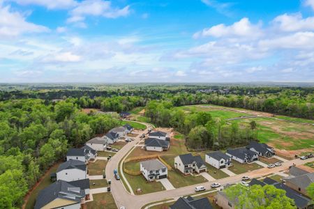 Collins Cove by Great Southern Homes in Chapin - image 17