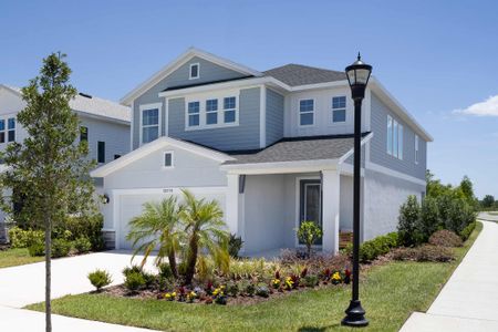 Persimmon Park - Garden Series by David Weekley Homes in Wesley Chapel - photo 30 30