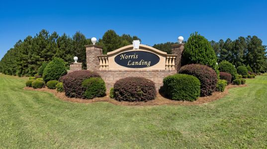 Norris Landing by Adams Homes in Snellville - image