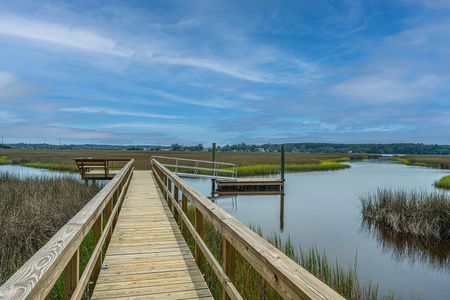 Cordgrass Landing by Mungo Homes in Johns Island - photo 6 6