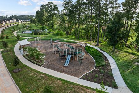 Lone Star Landing by M/I Homes in Montgomery - photo 10 10