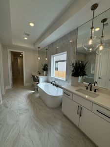Nolina - 50' by Westin Homes in Georgetown - photo 35 35