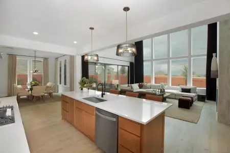 Lariat - 70' by Drees Custom Homes in Liberty Hill - image 5