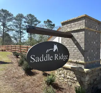 Saddle Ridge by Smith Douglas Homes in Calhoun - image
