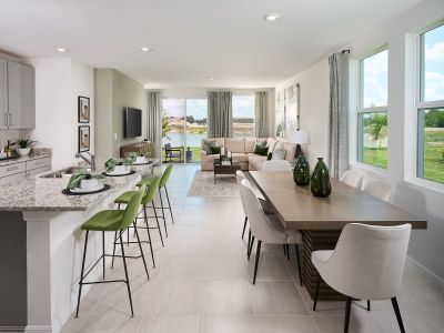 The Grove at Stuart Crossing - Premier Series by Meritage Homes in Bartow - photo 57 57