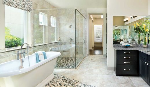 Central Living - St. Petersburg by David Weekley Homes in St. Petersburg - photo 6 6