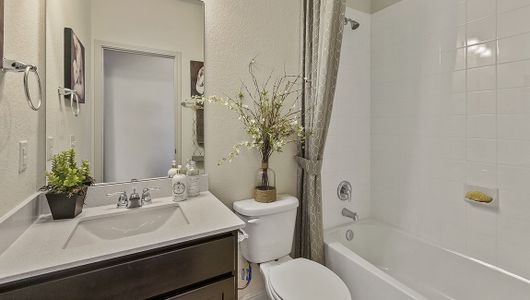 Sorento by D.R. Horton in Pflugerville - photo 23 23