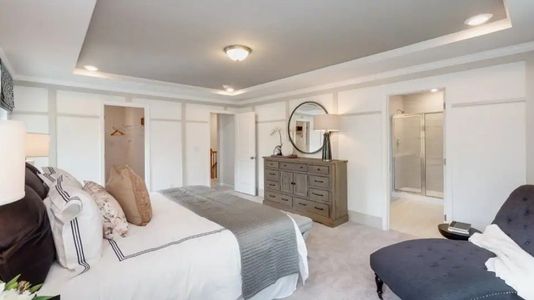 Carolina Springs: Designer 10