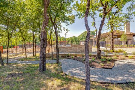 Prairie Oaks by David Weekley Homes in Little Elm - photo 39 39