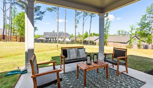 Arrington by Smith Douglas Homes in Adairsville - photo 17 17