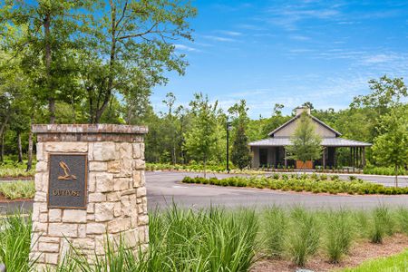 Shearwater by Dream Finders Homes in St. Augustine - image 18