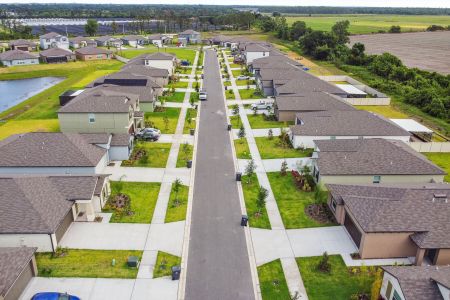 Berry Bay by M/I Homes in Wimauma - photo 17 17