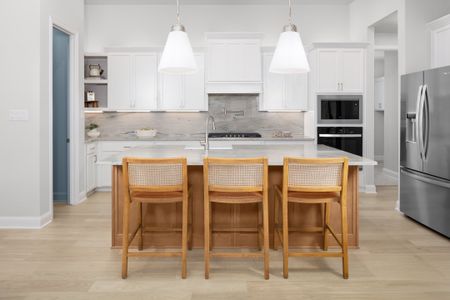 Wolf Ranch West Bend 46' by Coventry Homes in Georgetown - image 7