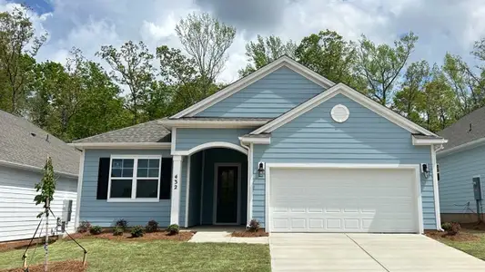 Old Chapin Reserve by D.R. Horton in Lexington - image