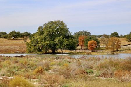 Lariat: 50ft. lots 9