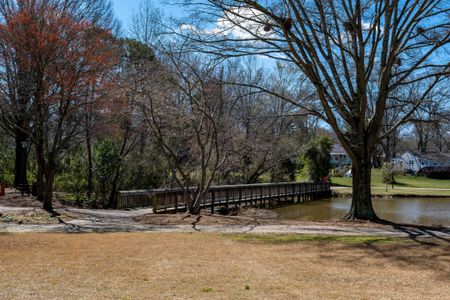 Cove at Davidson Bay by Copper Builders in Davidson - photo 36 36