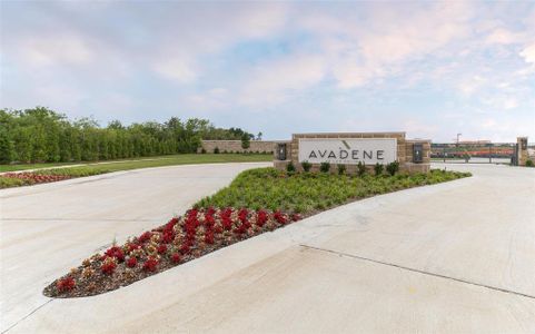 Avadene at Las Colinas by Alexander Hunt Distinct Homes in Irving - photo 1 1