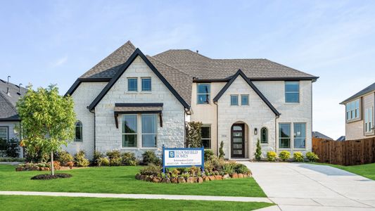 Meadow Vista 60-65 by Bloomfield Homes in Anna - image 3