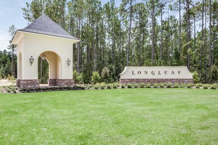 Longleaf by DSLD Homes in Lumberton - image 9