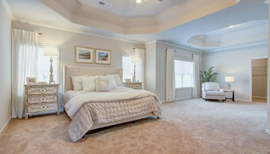 Clark Estates East by Stephen Elliott Homes in Ellenwood - photo 25 25