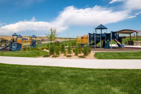 Candelas Townhomes by Tri Pointe Homes in Arvada - photo 5 5