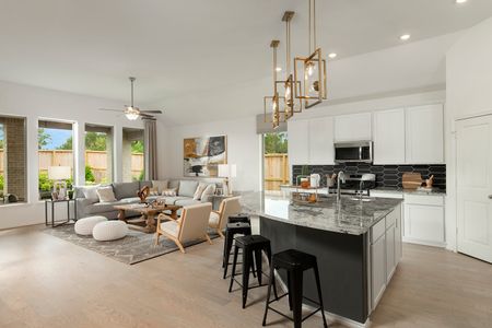 Escondido by Coventry Homes in Magnolia - image 5