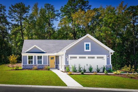 Newberry 55+ - Single Family Homes by Ryan Homes in McDonough - image