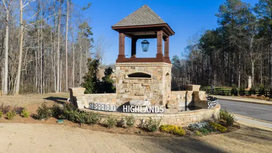Sheffield Highlands by D.R. Horton in Dallas - image