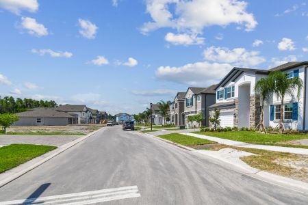 K-Bar Ranch Gilded Woods by M/I Homes in Tampa - photo 18 18