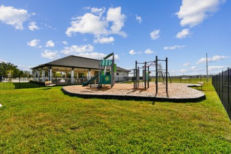 Hilltop Point by M/I Homes in Dade City - photo 63 63