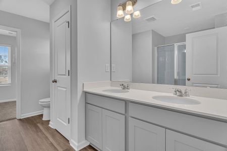 Rivertown Landing by Dream Finders Homes in Conway - image 16