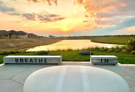 Jubilee 45' 70' by Newmark Homes in Hockley - image 12