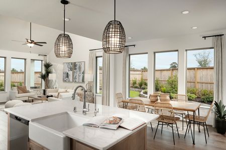 Escondido by Coventry Homes in Magnolia - photo 60 60