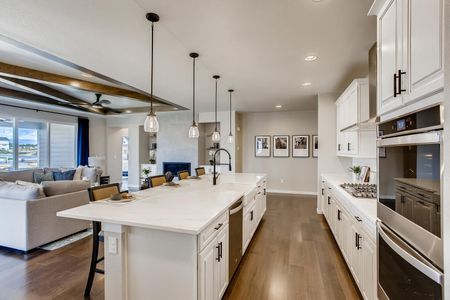 Independence by Dream Finders Homes in Elizabeth - photo 20 20