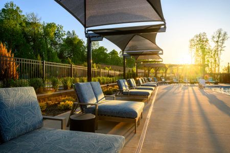 Encore at Chatham Park – Classic Series by David Weekley Homes in Pittsboro - image 13