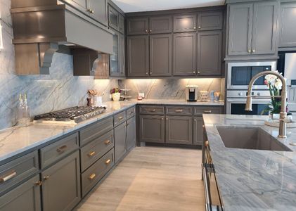 Painted Tree - Woodland West by Normandy Homes in McKinney - image 8