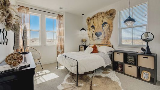 Westerly by Brightland Homes in Erie - image 20