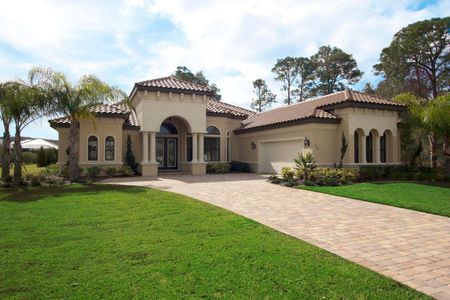 Wild Oaks by Bellagio Custom Homes in Palm Coast - photo 13 13