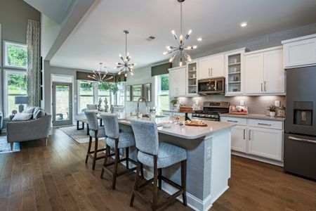 Twin Lakes by Fischer Homes in Hoschton - photo 16 16