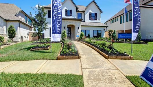 Sunterra 40 by Tricoast Homes in Katy - image 18