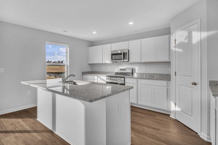 Seaside Palms by Dream Finders Homes in Sunset Beach - image 17