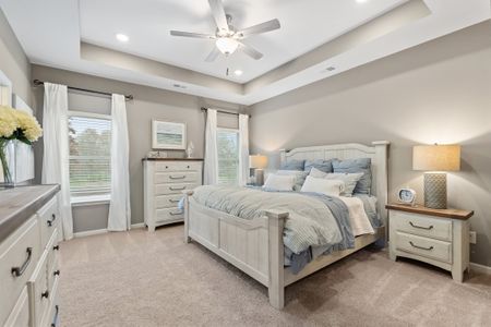 The Andros by Smith Douglas Homes in Dalton - image 10