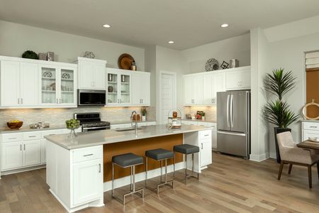 6 Creeks 55' by Coventry Homes in Kyle - image 9