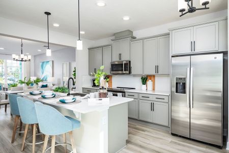 Tribute at Ovation by M/I Homes in Winter Garden - image 6