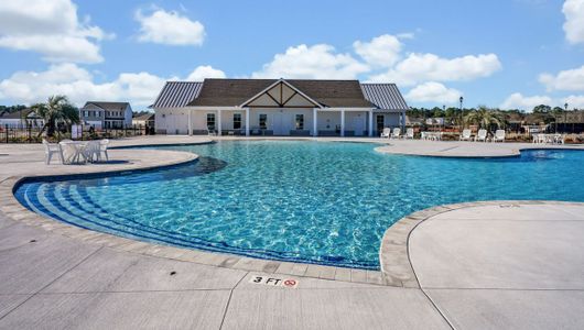 Sidbury Station by D.R. Horton in Castle Hayne - image 10