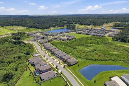 Cobblestone by M/I Homes in Zephyrhills - image 17