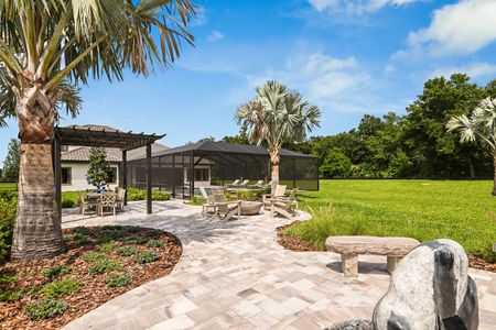 Creek Ridge Preserve by Homes by WestBay in Lithia - photo 13 13